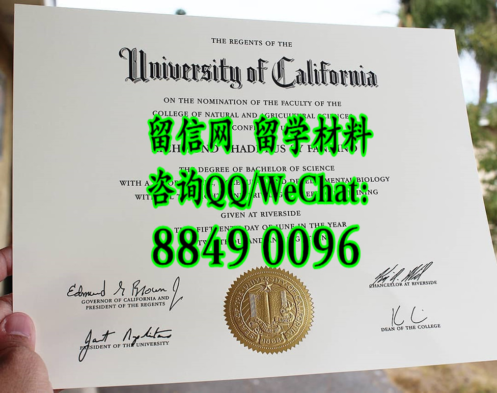 University of California-Riverside diploma certificate，美国加州大学河滨分校毕业证文凭