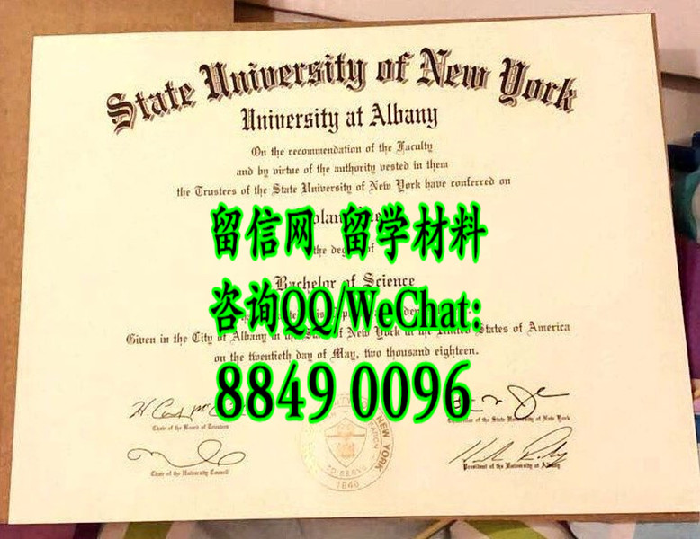 State University of New York diploma certificate，美国约州立大学奥尔巴尼分校毕业证文凭